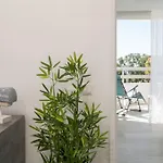 Front * Portimão