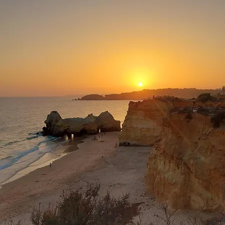 Front * 波尔蒂芒