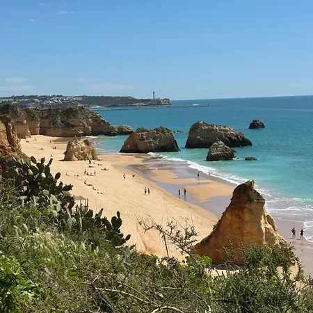 Front * 波尔蒂芒