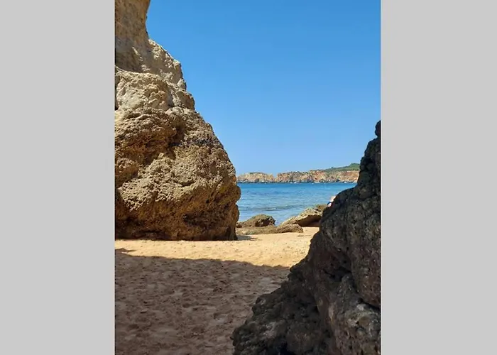 Front * 포티마오