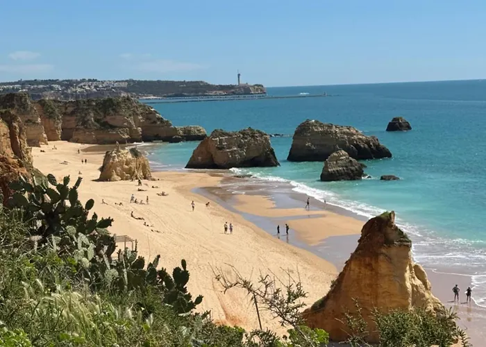 Front * 포티마오